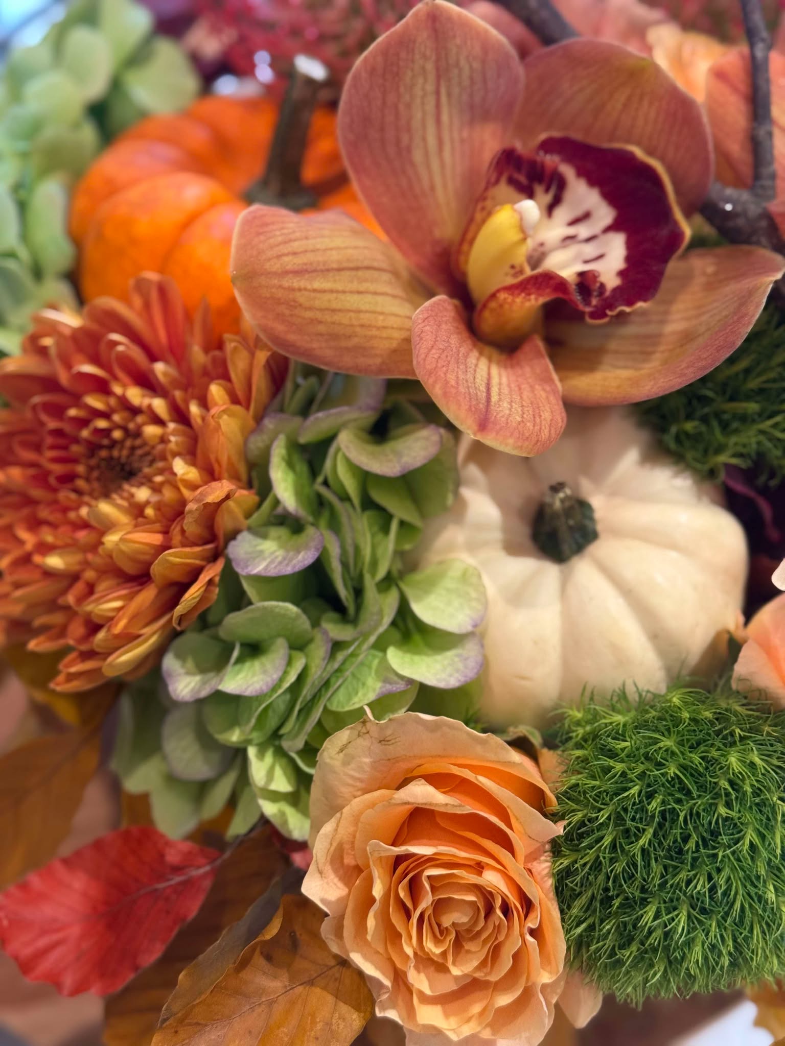 555881411_1336791154560289_5779275313872277256_n