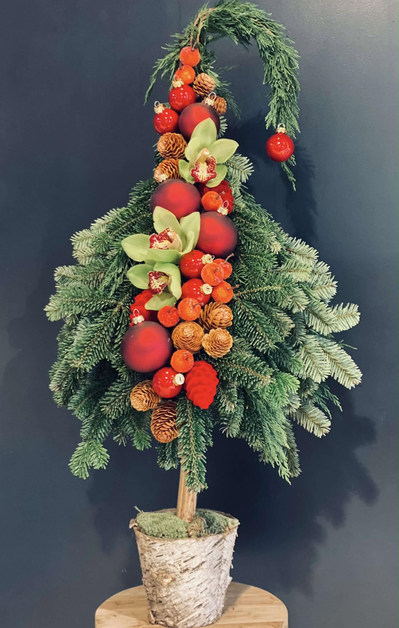 494e3835-7c17-41aa-8432-fc9595fefb38